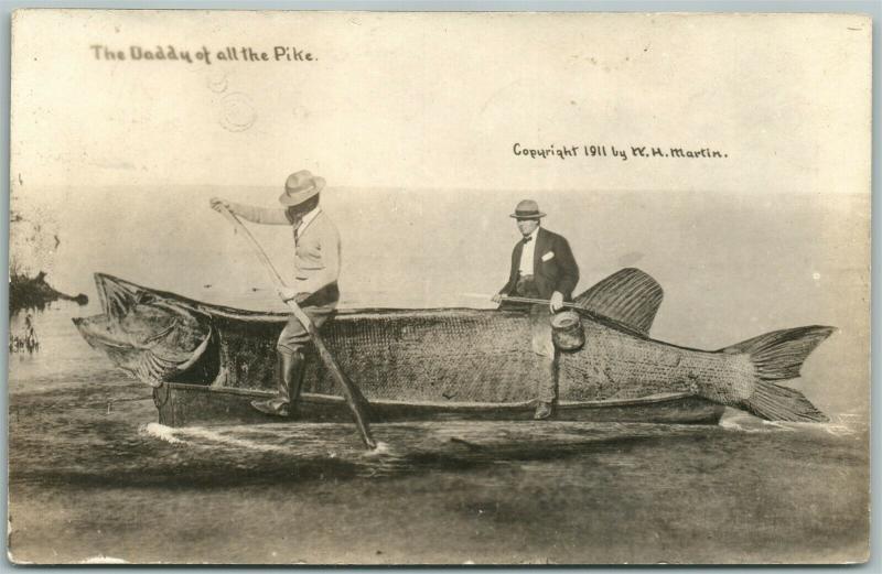 EXAGGERATED FISHING 1911 ANTIQUE REAL PHOTO POSTCARD RPPC DADDY OF ALL THE PIKE