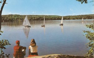 Greetings from Legal, Alta. Sailing on blue waters  Nice American Postcard 195