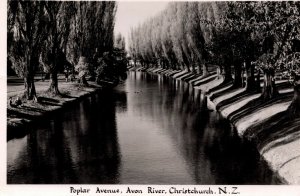 New Zealand Poplar Avenue Avon River Christchurch Vintage RPPC 08.94