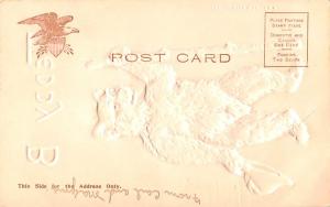 Bear Post Card Old Vintage Antique Teddy B writing on back