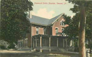 Geneseo Illinois Hammond Public Library Post Office C-1910 Postcard 21-5377