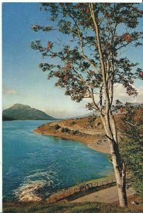 Scotland Postcard - Loch Laggan from Aberarder - Inverness-shire  AB149