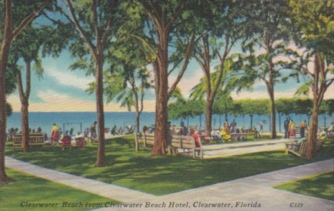 Florida Clearwater Beach From Clearwater Beach Hotel