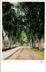 Cemetery Avenue Springfield Mass Massachusetts Ma Antique Udb Postcard 