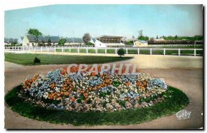 Modern Postcard Argentan Orne Stadium