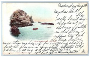 1901 Santa Catalina Island Seal Rocks California CA Avalon CA PMC Postcard