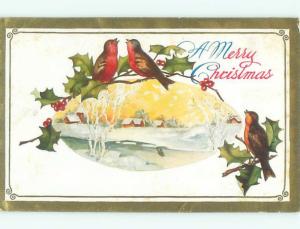 Divided-Back CHRISTMAS BIRDS SCENE Pretty Postcard W8512