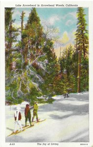 Snow Shoeing & Cross Country Skiing Arrowhead Woods California