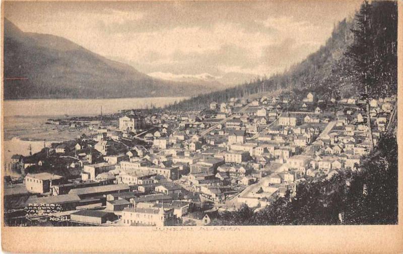 Juneau Alaska Birds Eye View Antique Postcard J51683