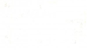 Connecticut Clinton  , Pond's Extract Company