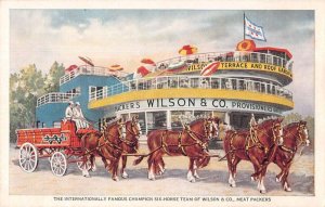 Century of Progress Wilson and CO Meat Packers Horse Team Postcard AA19624