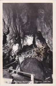 Oklahoma Sea Lion Caves Interior View North Entrance Real Photo RPPC