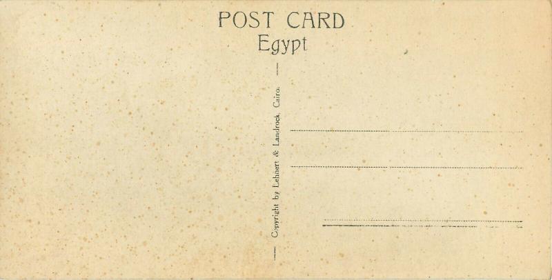 Hand-Colored 3x6 RPPC Postcard Native Quarter Cairo Egypt people & Skinny Cow