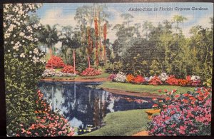 Vintage Postcard 1946 Azalea Time, Cypress Gardens, Winter Haven, Florida (FL)