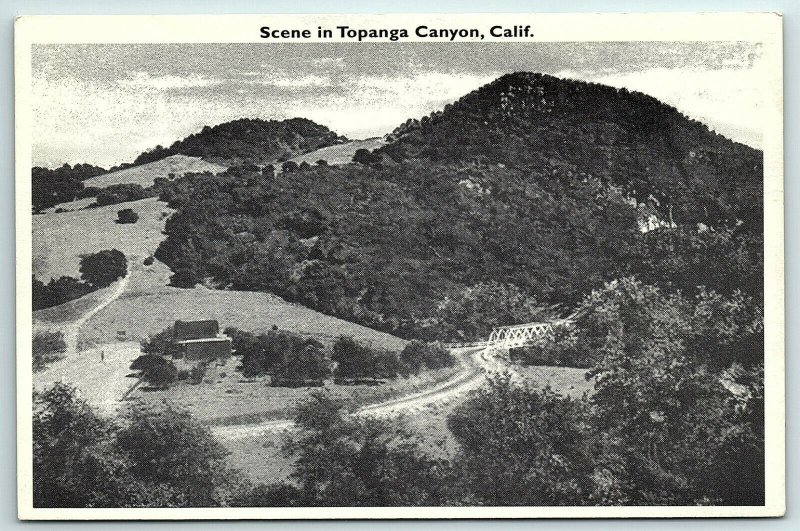 VTG Postcard CA California Topanga Canyon Scene Valley Brush Dirt Road Farm A5