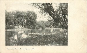 Vintage Postcard Scene on the Kishwaukee River Near Sycamore IL DeKalb County,