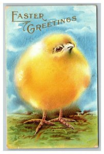 Vintage 1913 Easter Postcard Giant Puffy Cute Chick Grass Meadow Nice Card