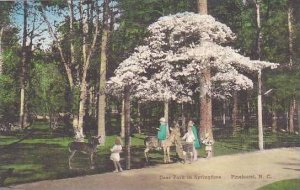 North Carolina Pinehurst Deer Park In Springtime Albertype