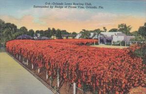 Florida Orlando Flame Vine Surrounding Orlando Lawn Bowling Club Curteich