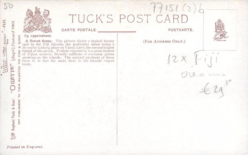 FIJI Islands early/vintage Tuck's Art Oilette postcard A Forest Scene