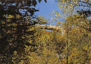 Sky Bridge In , Red River Gorge   