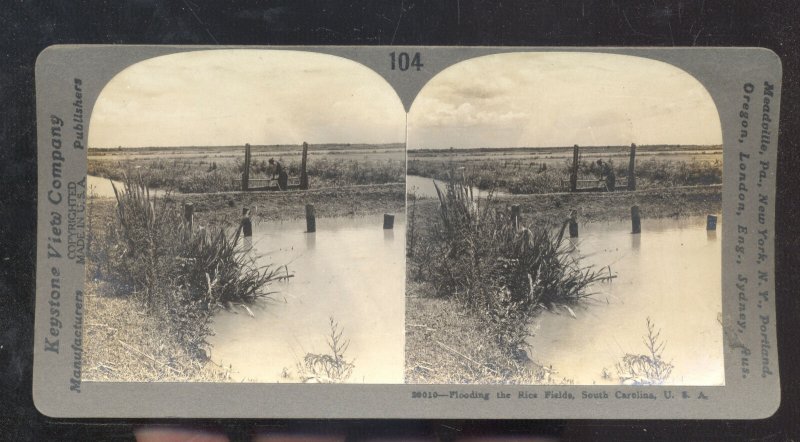 REAL PHOTO SOUTH CAROLINA FARM FARMING SC VINTAGE STEREOVIEW CARD