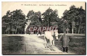 Blain - La Foret du Gavre - Le Rond Point - horse - Old Postcard