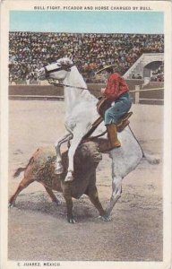 Bull Fight Picador &  Horse Charged By Bull