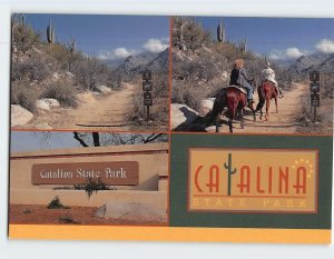 Postcard Catalina State Park Tucson Arizona USA