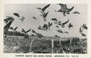 ANSONVILLE, North Carolina, 1930-1940s; Lockhart Gaddy's Wild Goose Refuge, #3