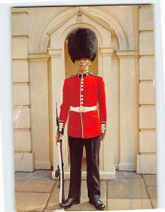 Postcard Sentry Of The Irish Guards At Clarence House London England
