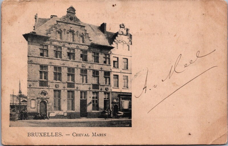 Belgium Brussels Bruxelles Cherval Marin Vintage Postcard C097