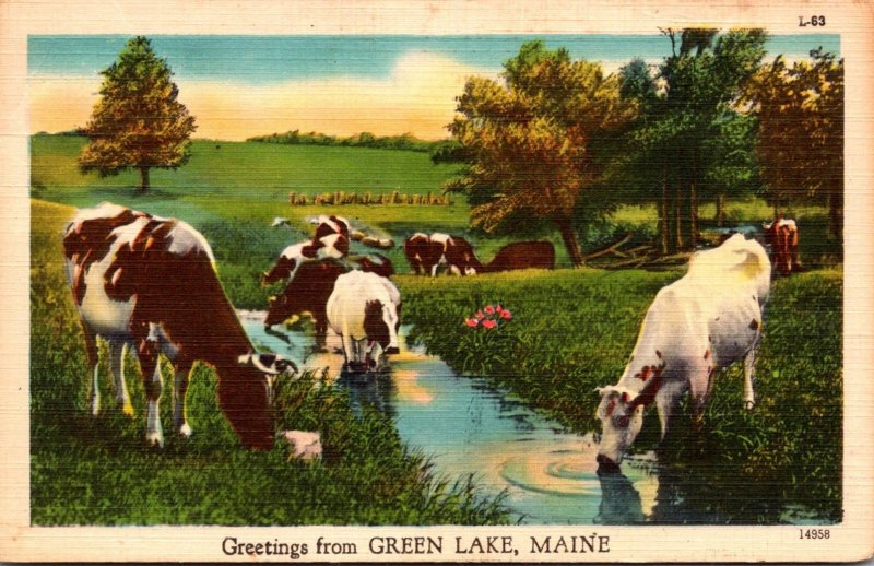 Maine Greetings From Green Lake 1953