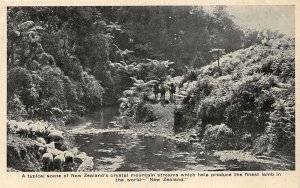 br107688 new zealand crystal mountain streams finest lamb in the world