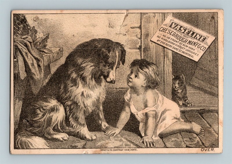 1880's Vaseline Elixir Vitae Child Collie Dog And Cat Chesebrough Trade Card