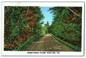 1936 Greetings From Trees Leaves Plants Norton Virginia Vintage Antique Postcard