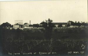 israel, RISHON LeZION, Societe Cooperative Vigneronne Grandes Caves Wine Cellars