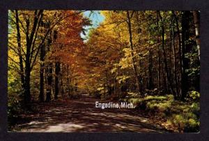 MI View of Country Road in ENGADINE MICHIGAN Postcard