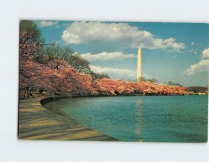 Postcard The Washington Monument, Washington, District of Columbia