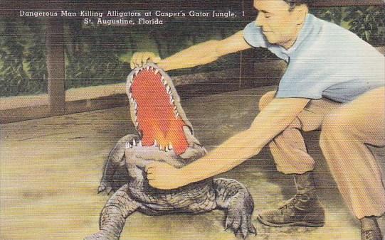 Dangerous Man Killing Alligators At Casper's Gator Jungle Saint Augustine Flo...