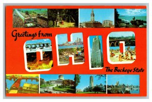 QSL Radio Card From Greetings From OHIO The Buckeye State LARGE Letter Postcard