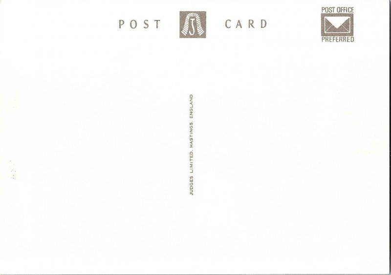 Scenic View St. Davids Bishops Palace & Cathedral Wales Continental Postcard