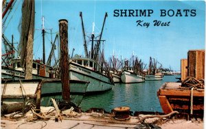 Key West FL, Florida Natural Color, Inc., Miami, Washington, Crippled Postcard