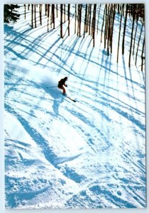 STEAMBOAT SKI AREA, Colorado CO ~ Powder Snow TWISTER SKI RUN   4x6 Postcard