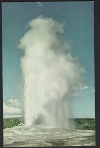 Wyoming Old Faithful Geyser, Yellowstone Park showing great Columns ~ Chrome