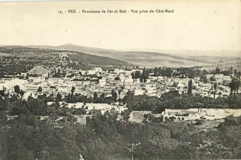 CPA AK MAROC FEZ Panorama de FEZ el Bali Vue prise du Cote Nord (24744)