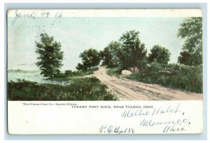 c. 1910 Turkey Foot Rock Maumee Toledo Ohio Postcard P15