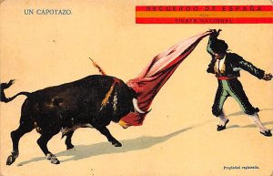 Bullfighting Unused 