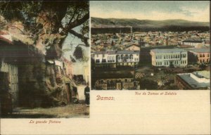 Damas Damascus Syria Turkey c1900 Split View Postcard La Grande Platane