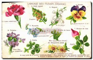 Old Postcard Fantasy Flowers language